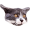 userIcon